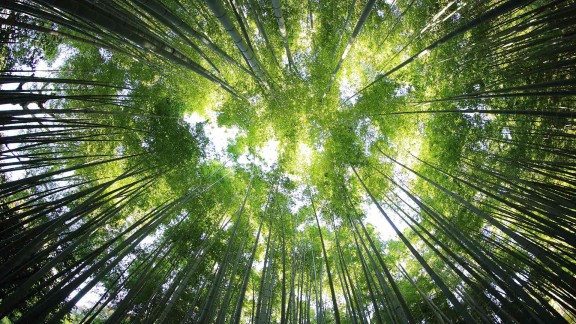 揭秘云服务器:5大关键要点速览